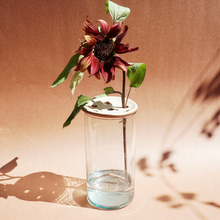 Load image into Gallery viewer, Vase Frog SECONDS